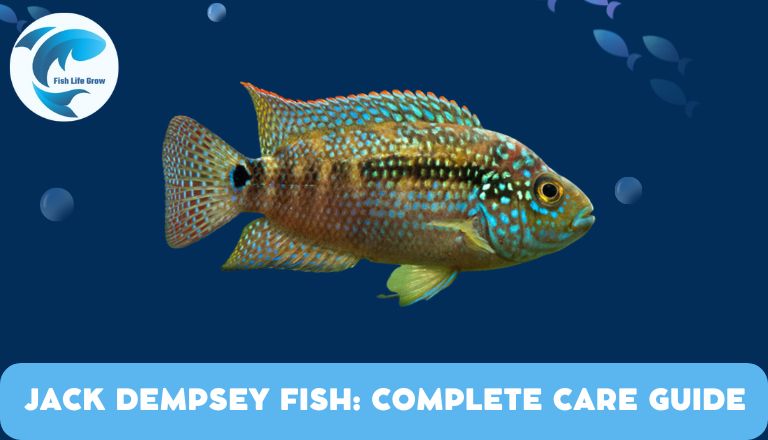 Jack Dempsey Fish