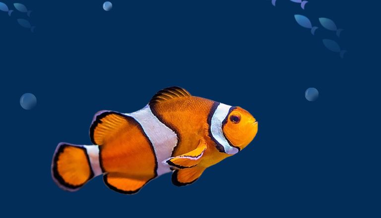 clownfish voice changer