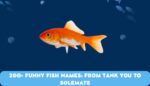 200+ Funny Fish Names: From Tank You To Solemate!